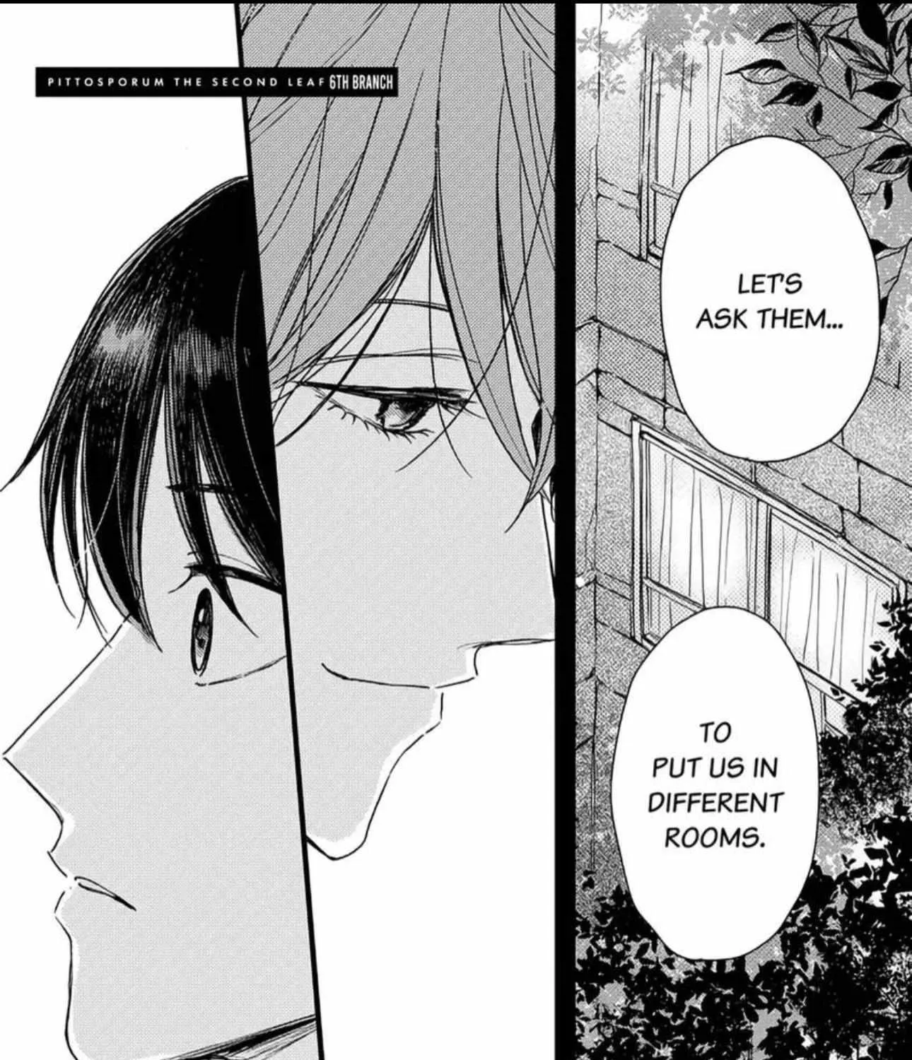Pittosporum Chapter 7 page 4 - 