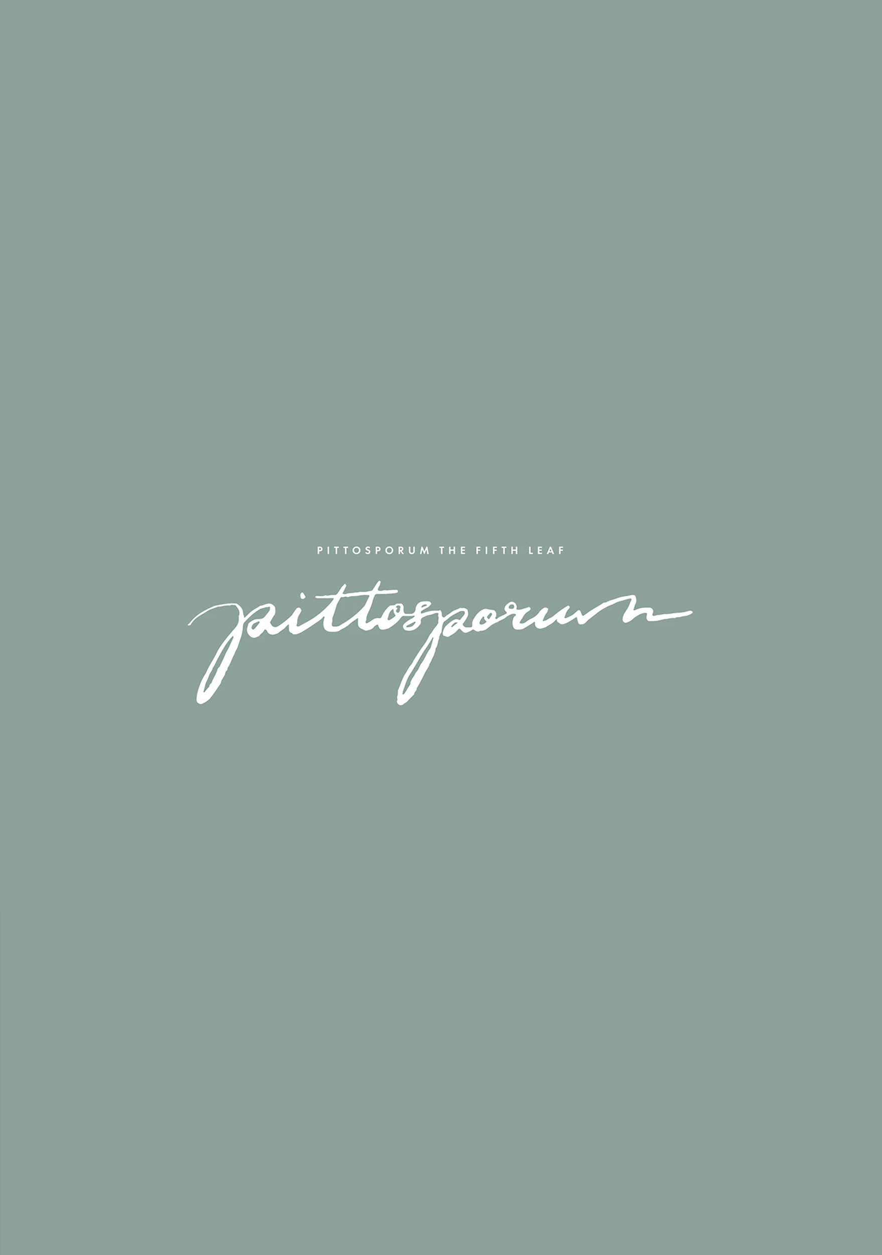 Pittosporum Chapter 8.6 page 14 - 