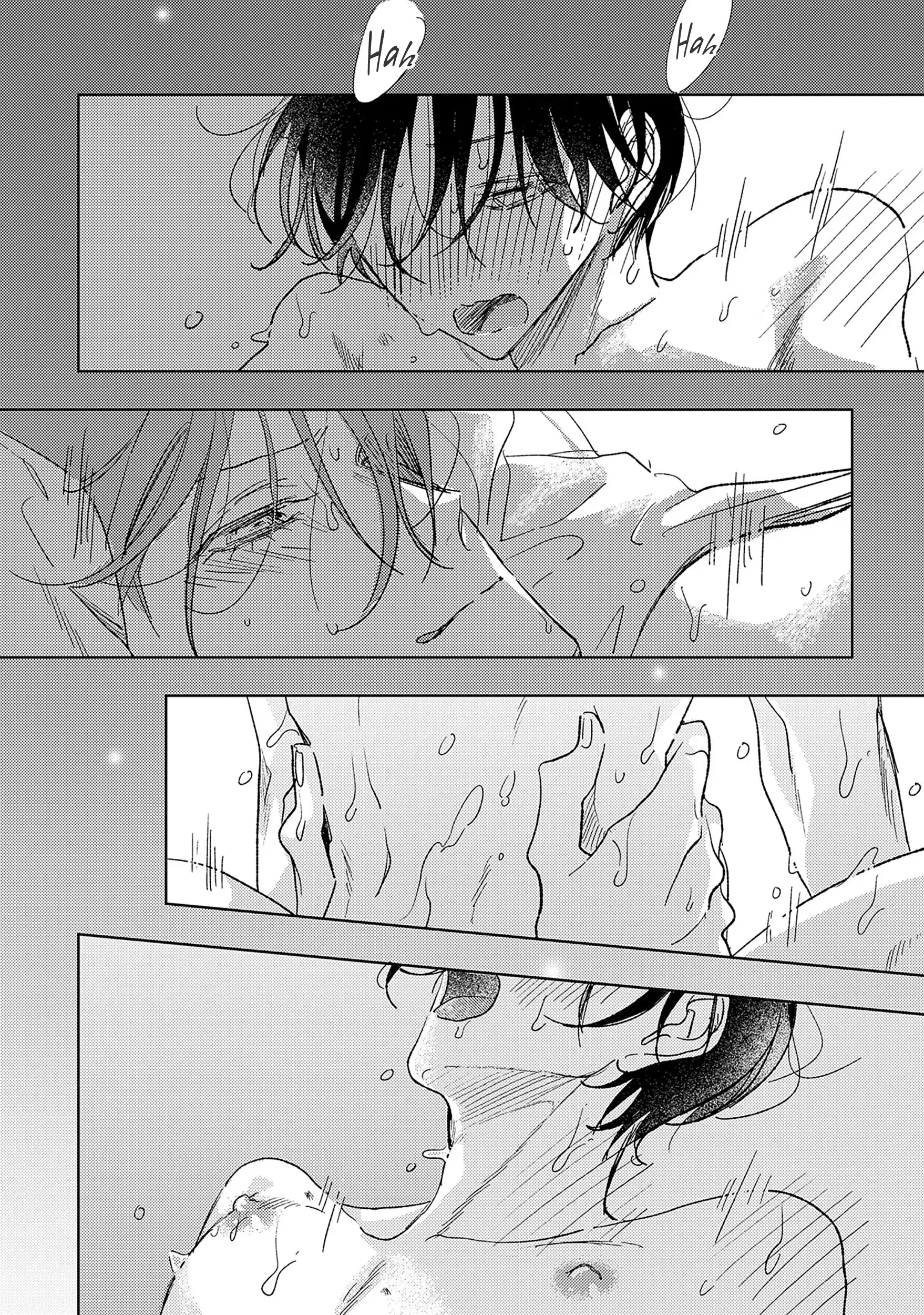 Pittosporum Chapter 8.6 page 20 - 