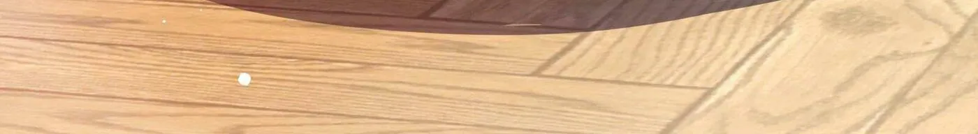 Pixiu