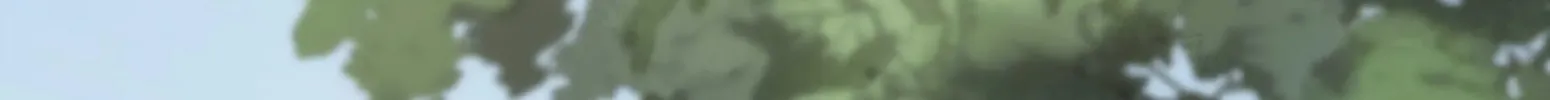 Pixiu