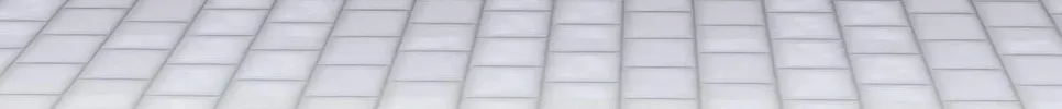 Pixiu