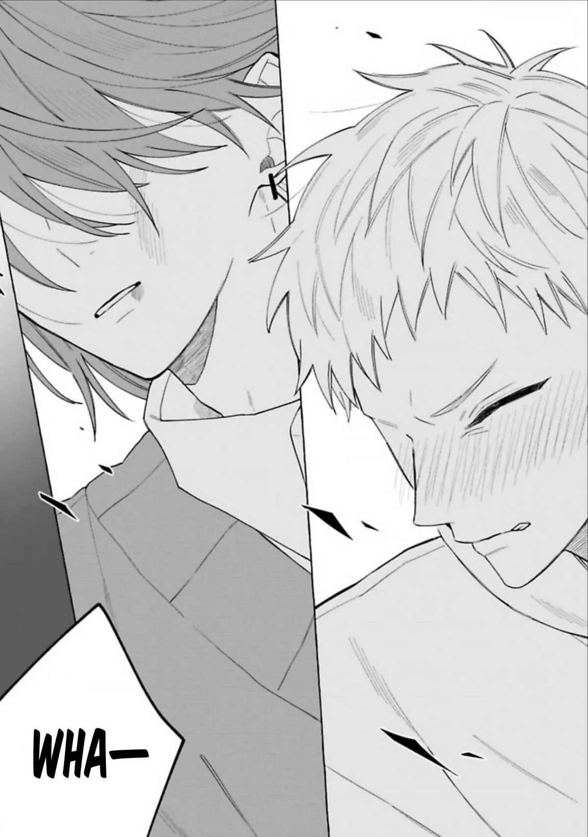 PLATINUM DYED IN SPRING Chapter 4 page 27 - 