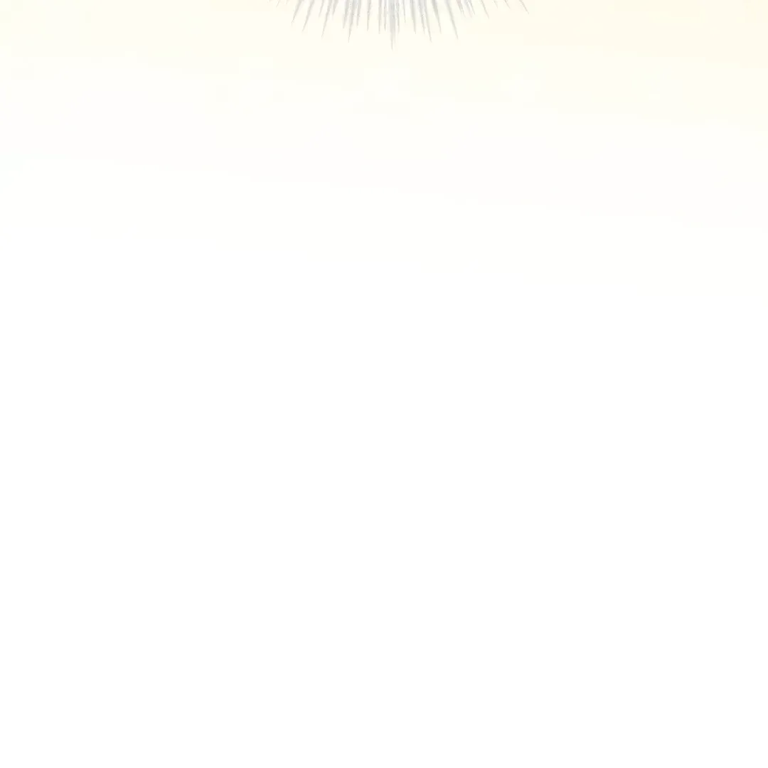 Please Add Charcoal Chapter 3.3 page 73 - 
