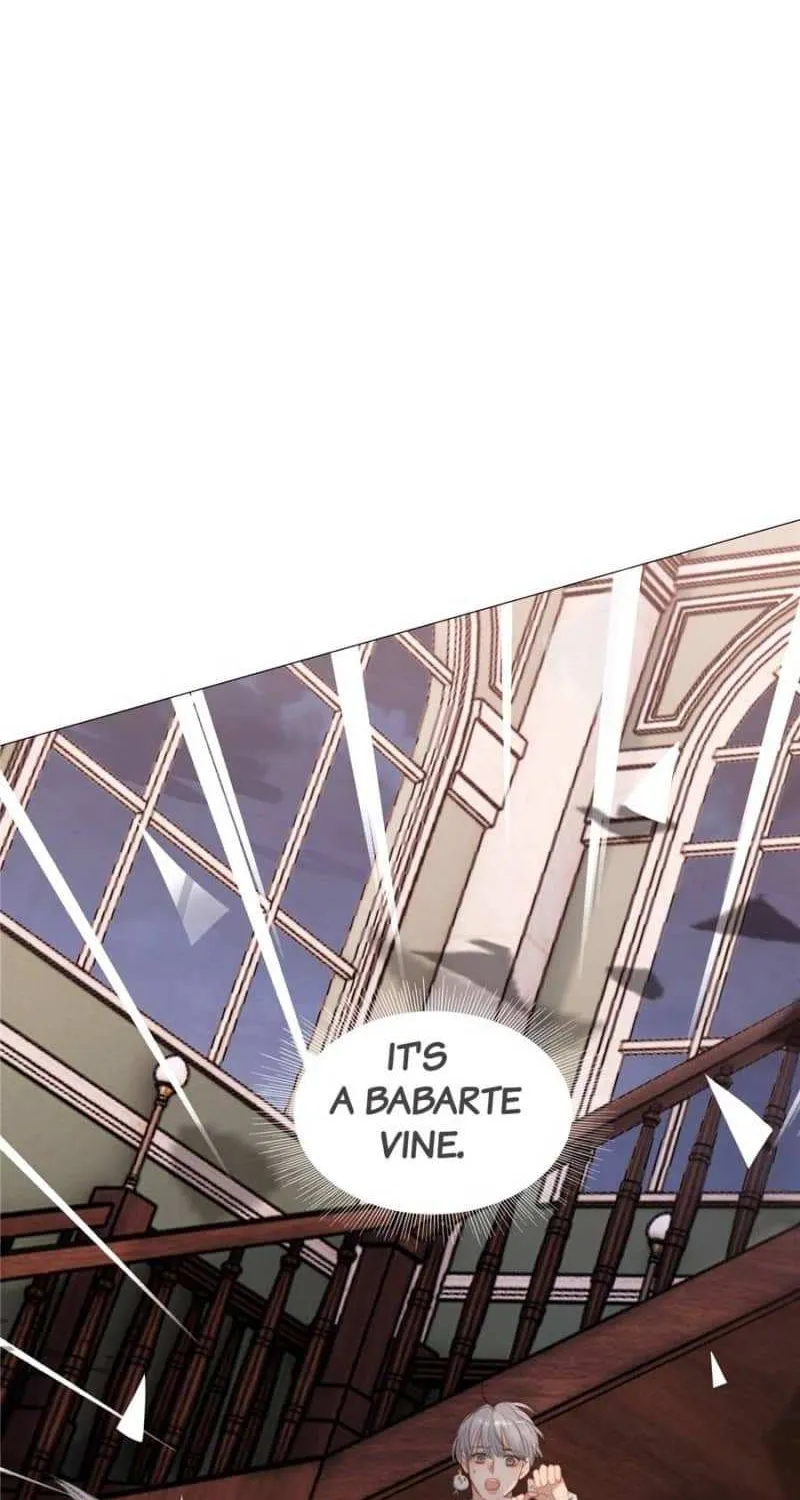 Please, sleep with me Chapter 146 page 7 - 