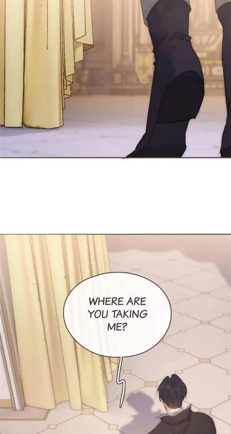 Please, sleep with me Chapter 149 page 37 - 