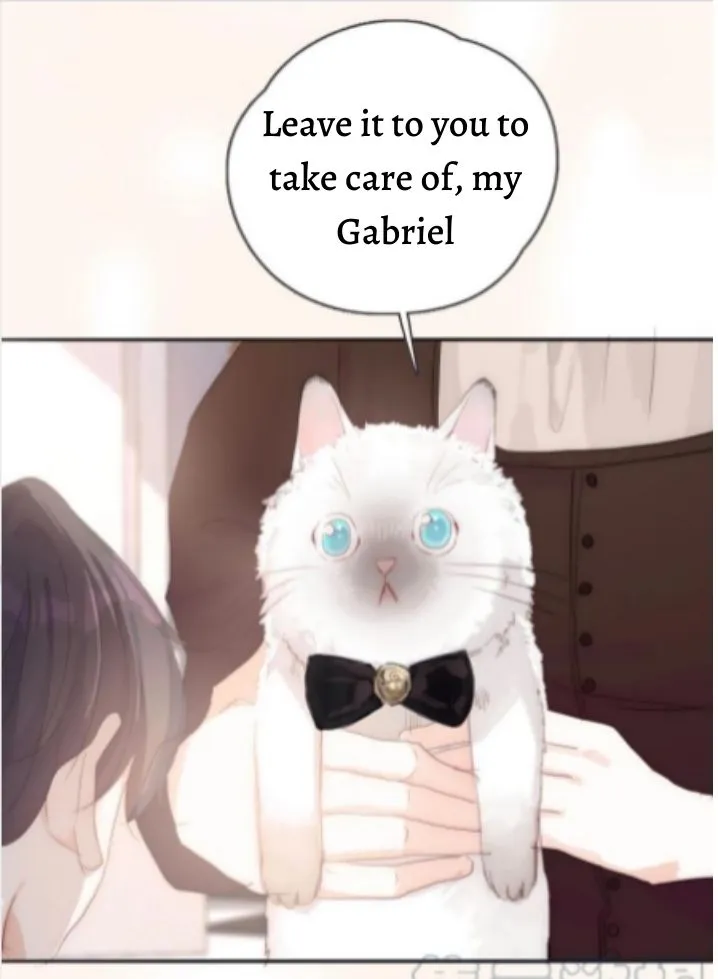 Please, sleep with me Chapter 45 page 29 - 