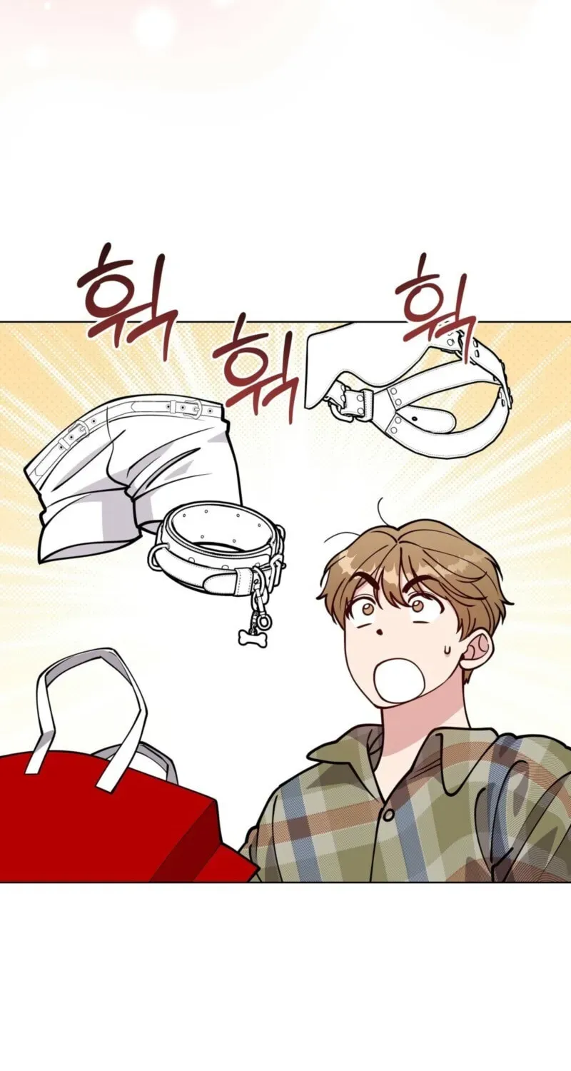 Please Step on Me, Prince! Chapter 19 page 20 - 