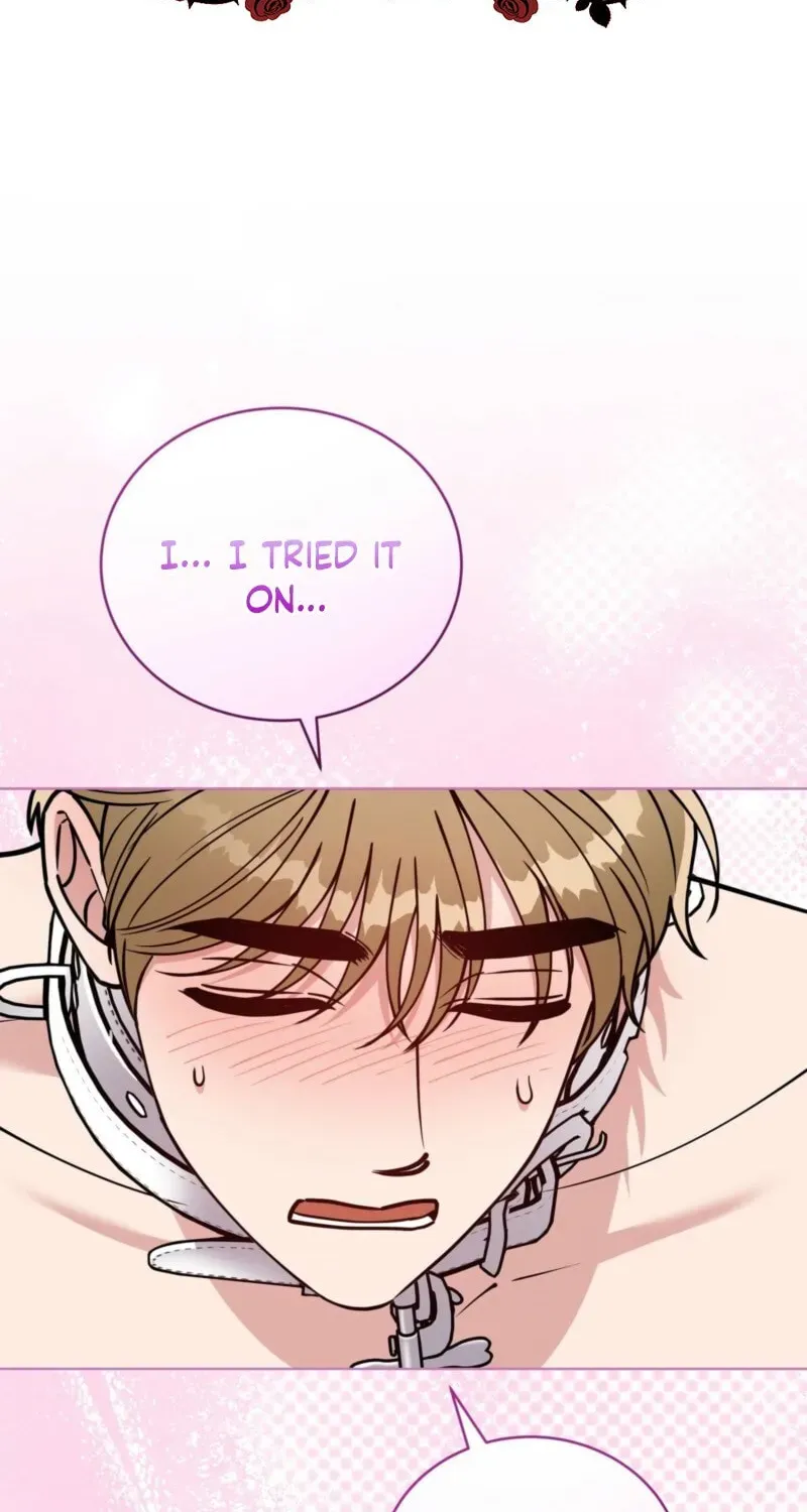 Please Step on Me, Prince! Chapter 19 page 26 - 