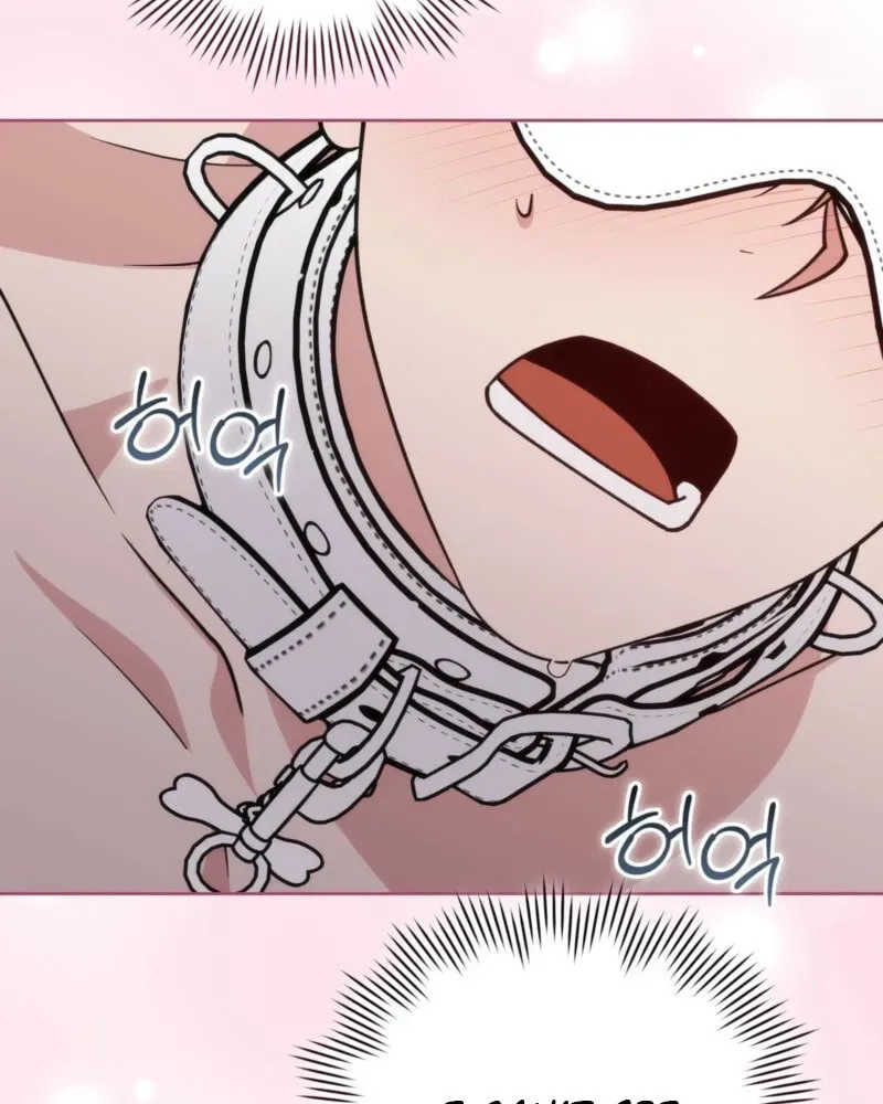Please Step on Me, Prince! Chapter 19 page 66 - 