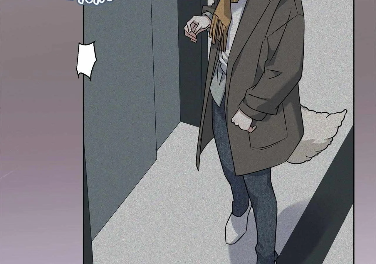 Plin