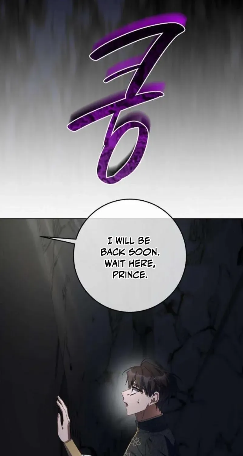 Poisoned Chalice: The Poisoned Princess Chapter 26 page 30 - 