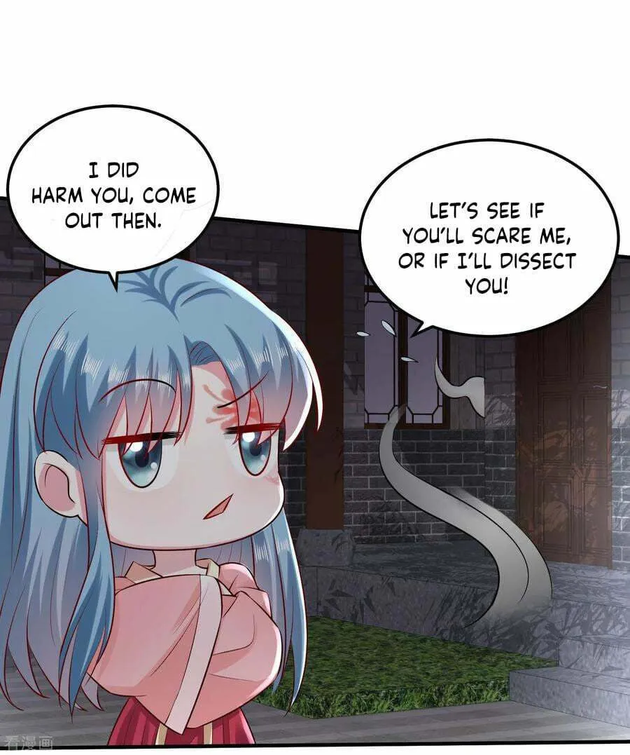 Poisonous Doctor: First Wife