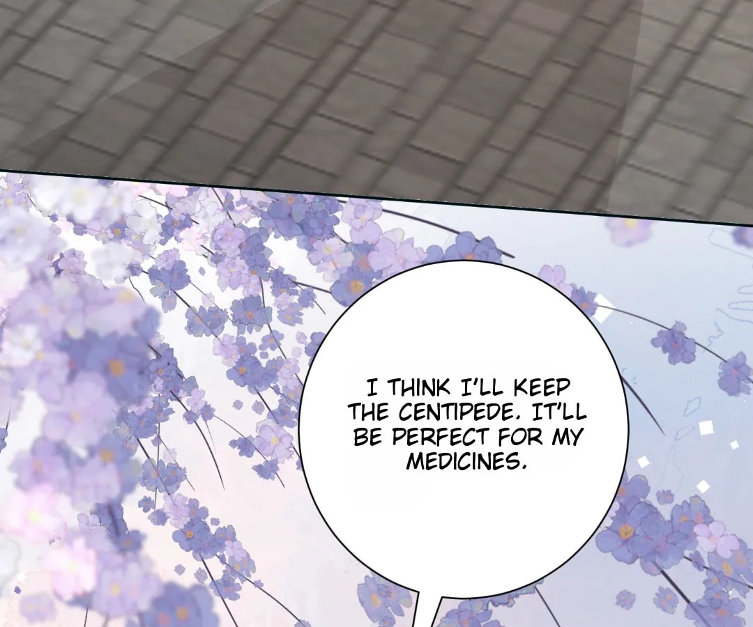 Poisonous Doctor: First Wife