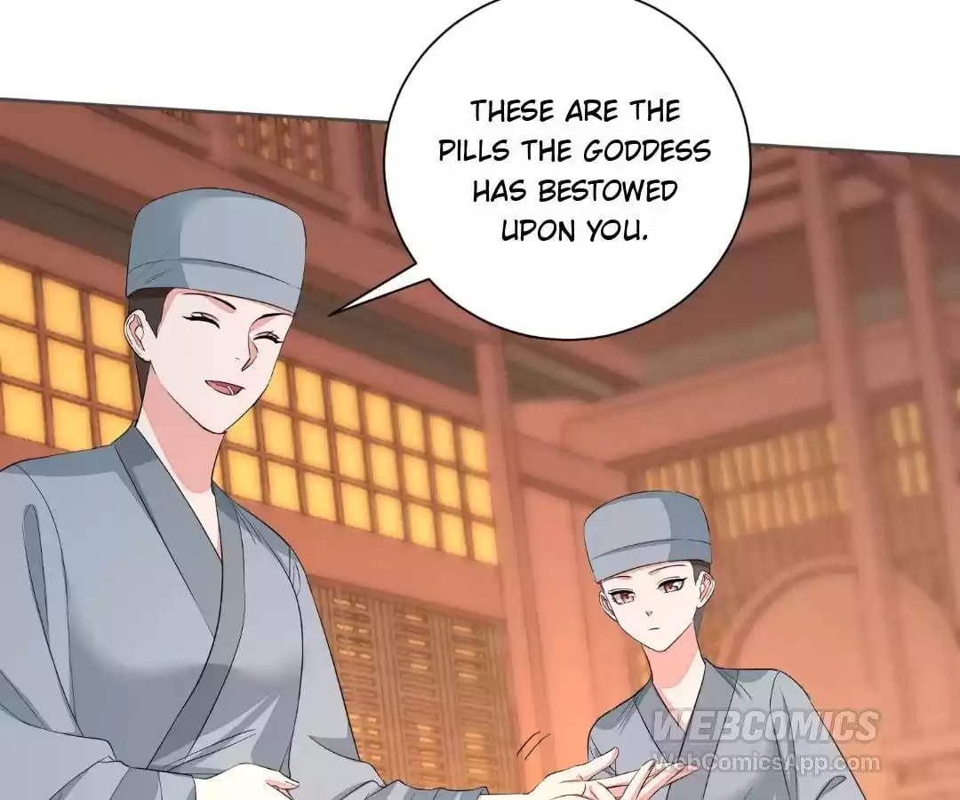Poisonous Doctor: First Wife