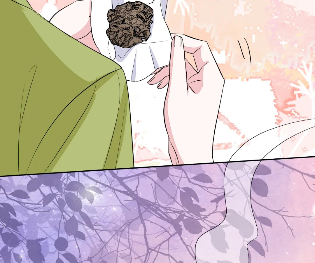 Poisonous Doctor: First Wife