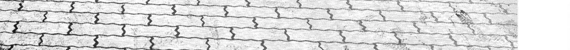 POLE STAR Chapter 13 page 3 - 