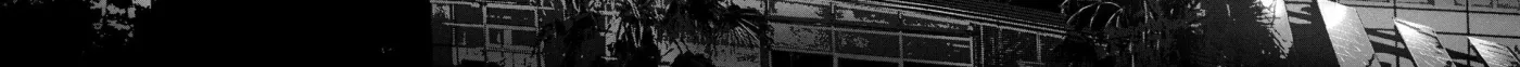 POLE STAR Chapter 29 page 5 - 