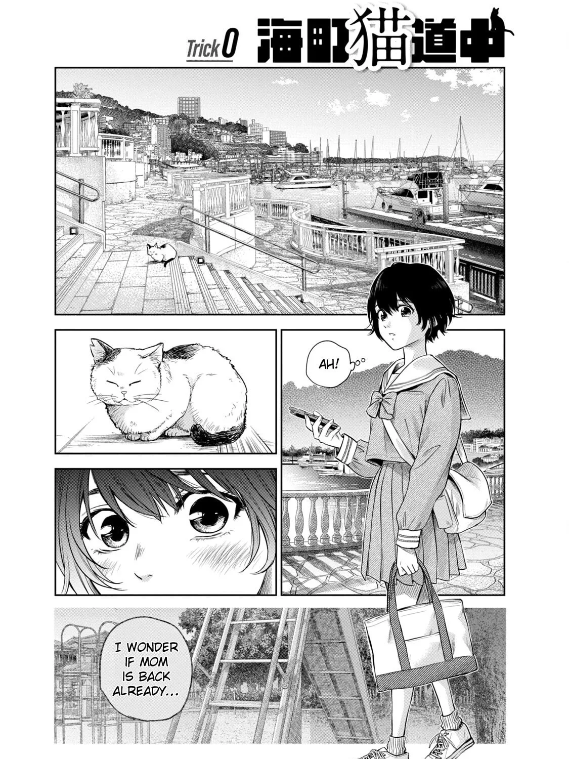 POLE STAR Chapter 7.5 page 1 - 