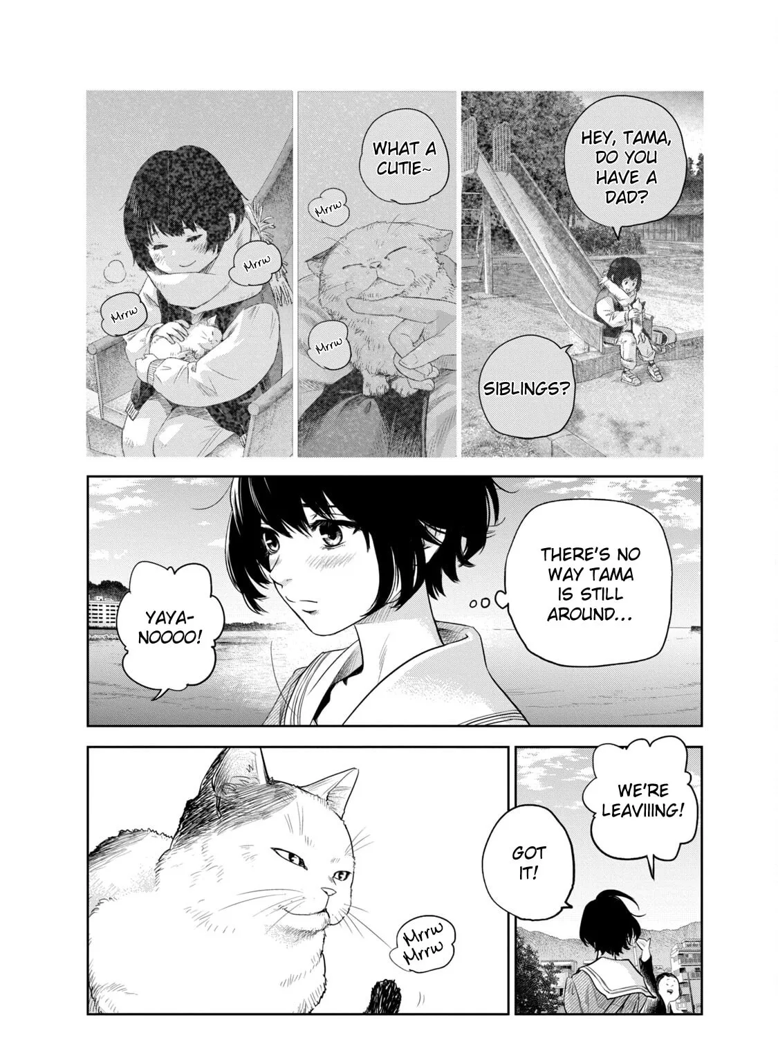 POLE STAR Chapter 7.5 page 3 - 