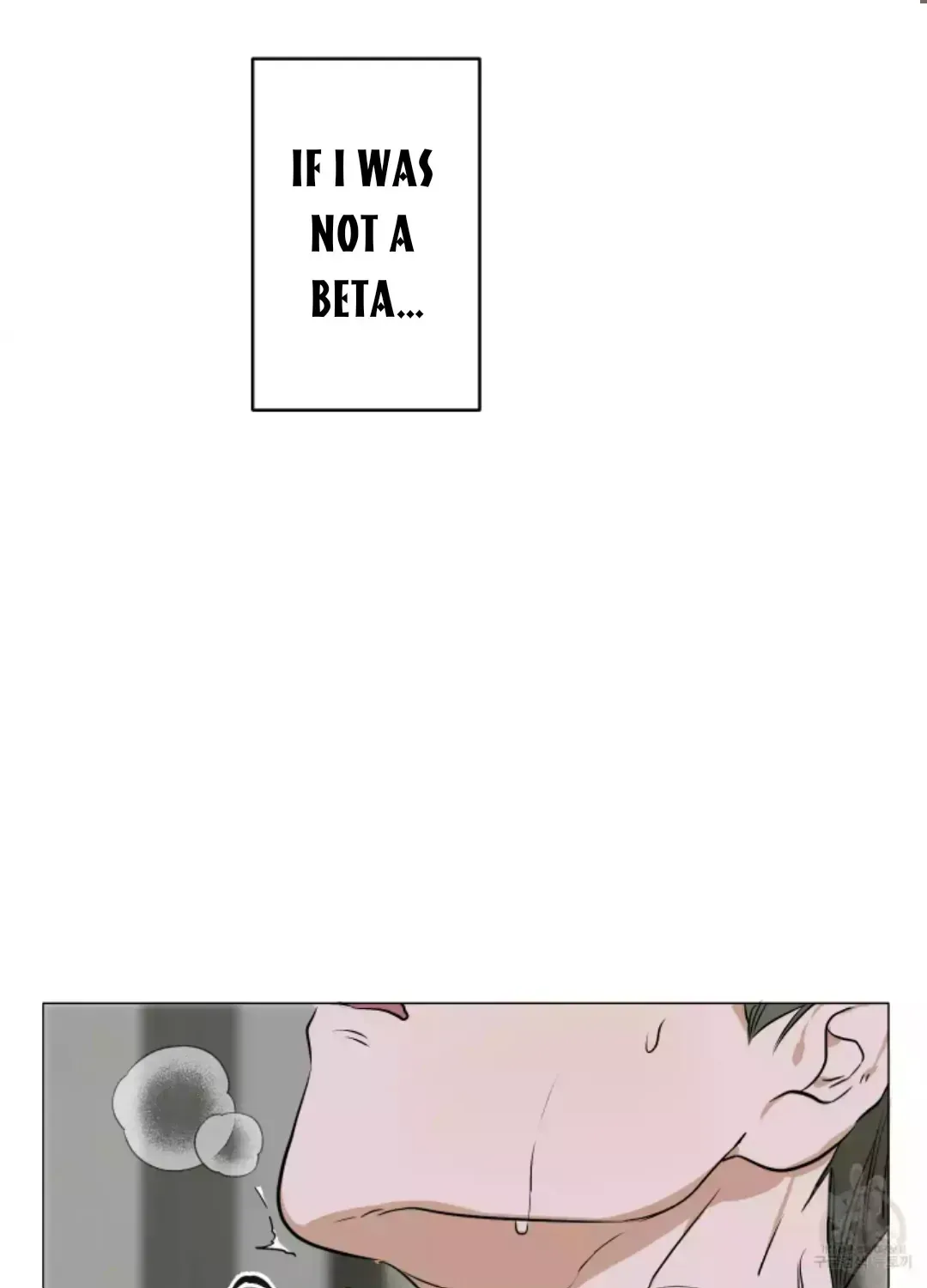 Pond with flowers Chapter 1.3 page 85 - 