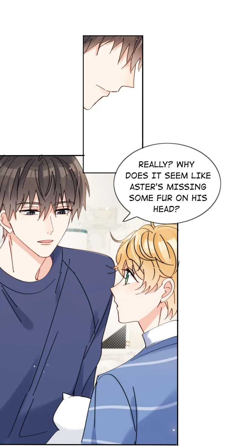 Poor Quality Cream Chapter 14 page 11 - 