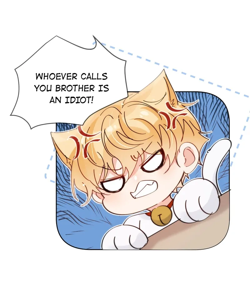 Poor Quality Cream Chapter 16 page 37 - 