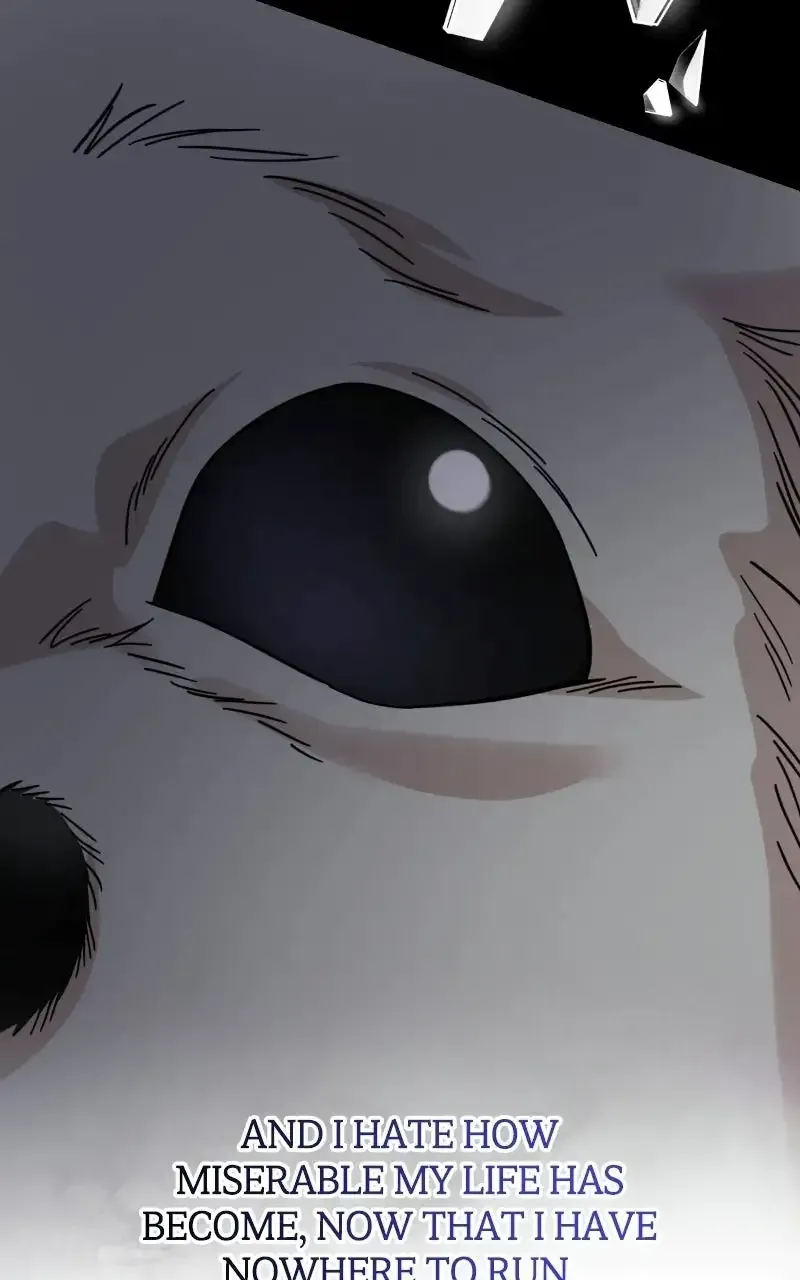 Possible to Date a Ranker? Chapter 56 page 17 - 