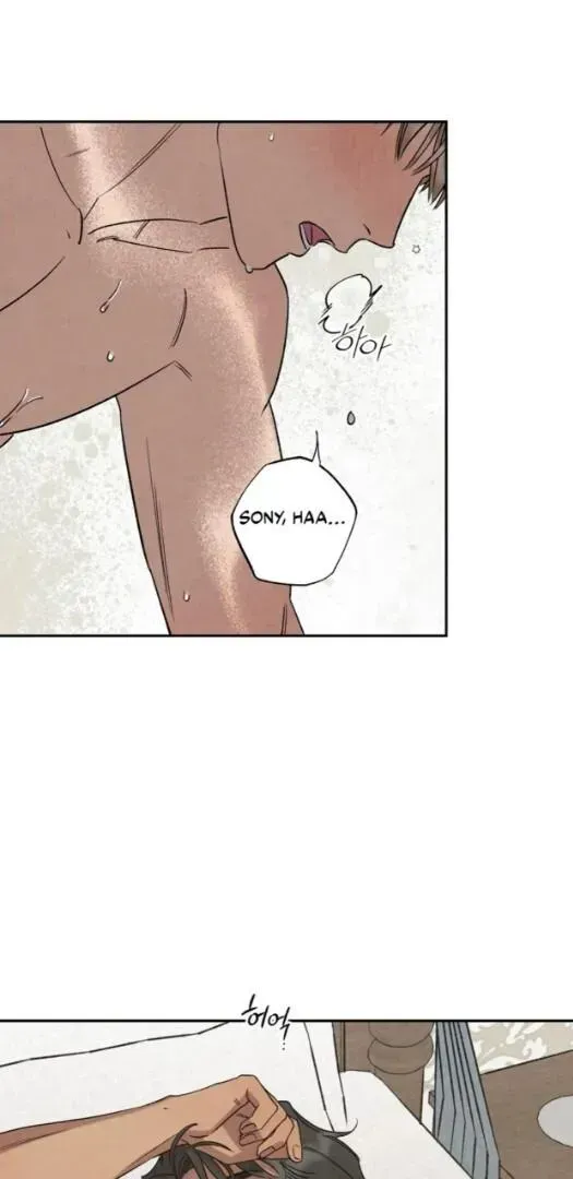 Postscript Chapter 1.1 page 27 - 