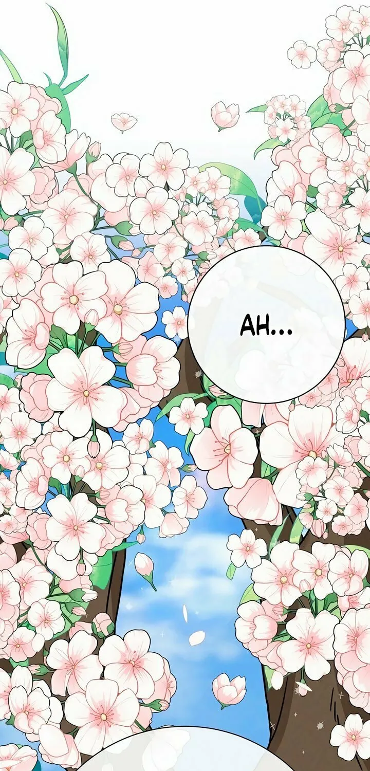 Powerful Confession Chapter 2 page 31 - 