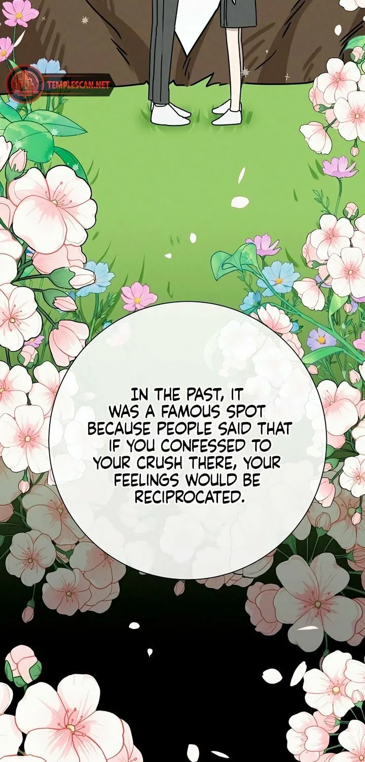 Powerful Confession Chapter 2 page 33 - 