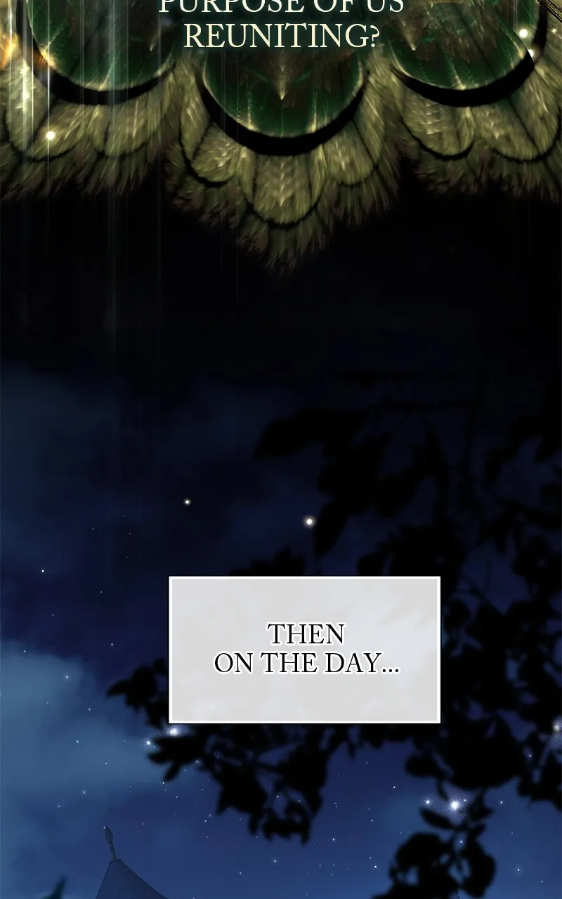 Praesepe Outside the Cage Chapter 24 page 28 - 