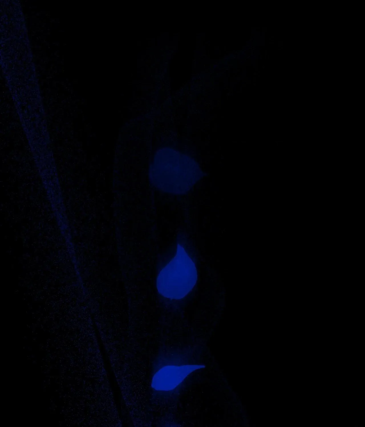 Precious Thing Chapter 30 page 159 - 