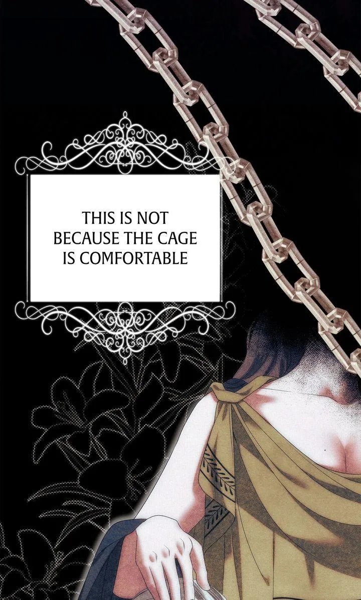 Predator Marriage Chapter 9 page 31 - 