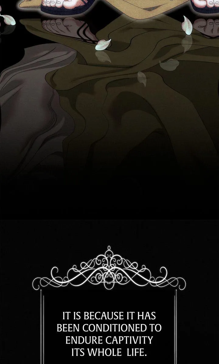 Predator Marriage Chapter 9 page 33 - 
