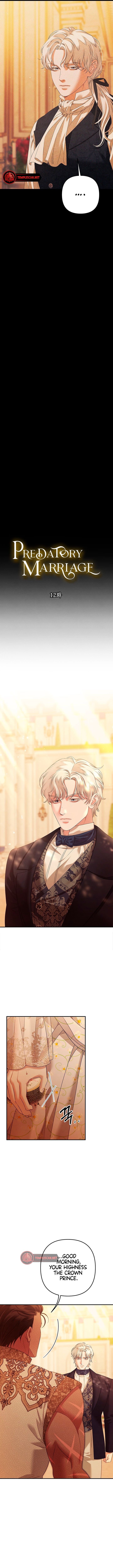 Predatory Marriage (Complete Edition) Chapter 12 page 8 - 