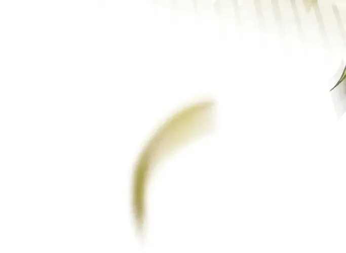 Predatory Marriage Chapter 0.5 page 106 - 