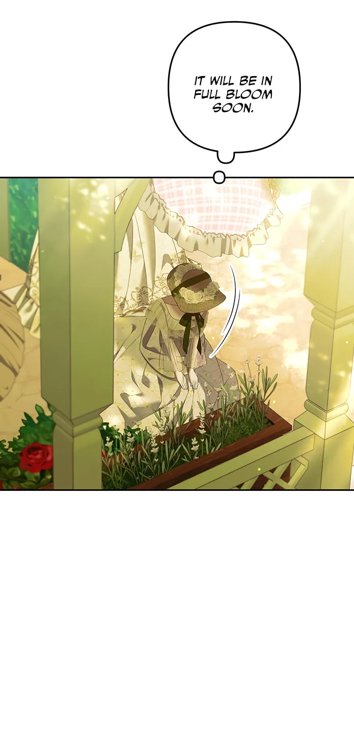 Predatory Marriage Chapter 10 page 37 - 