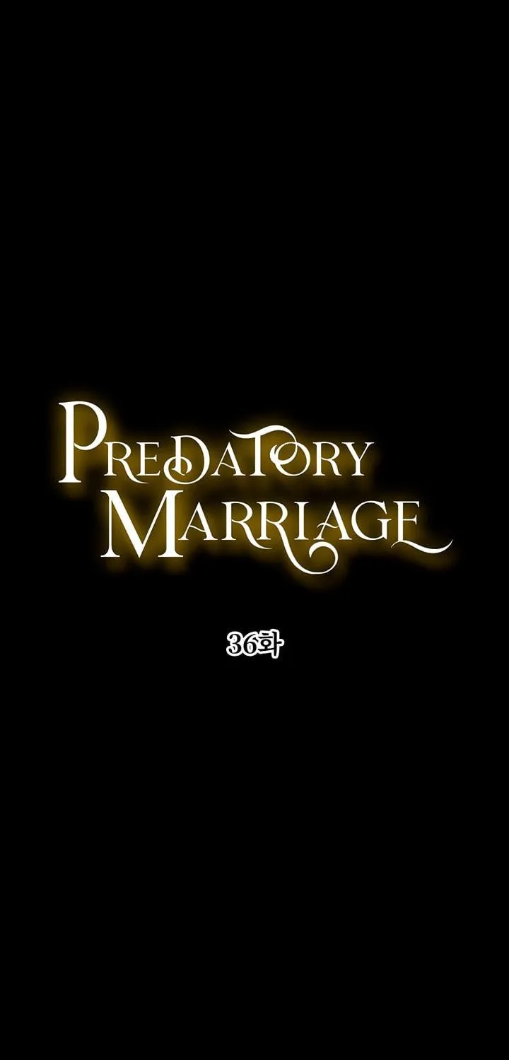 Predatory Marriage Chapter 36 page 9 - 