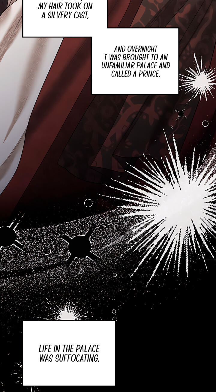 Predatory Marriage Chapter 82 page 70 - 