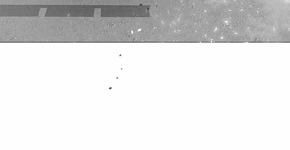 Preference for the Possessor Chapter 68 page 66 - 