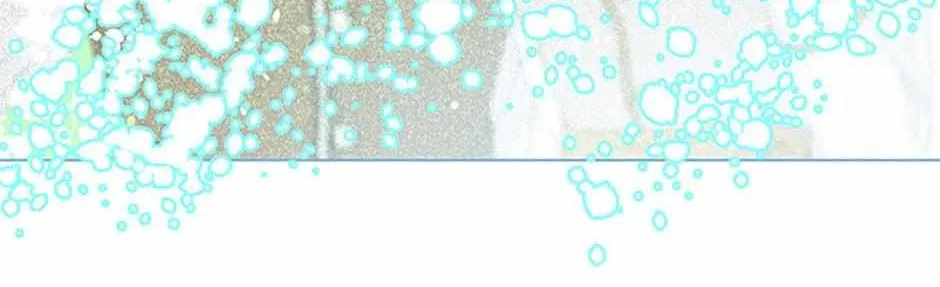 Preference for the Possessor Chapter 70 page 82 - 