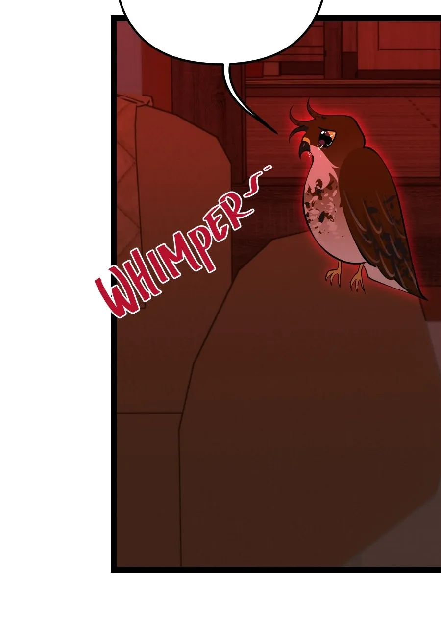 Primrose Academy Chapter 80 page 13 - 