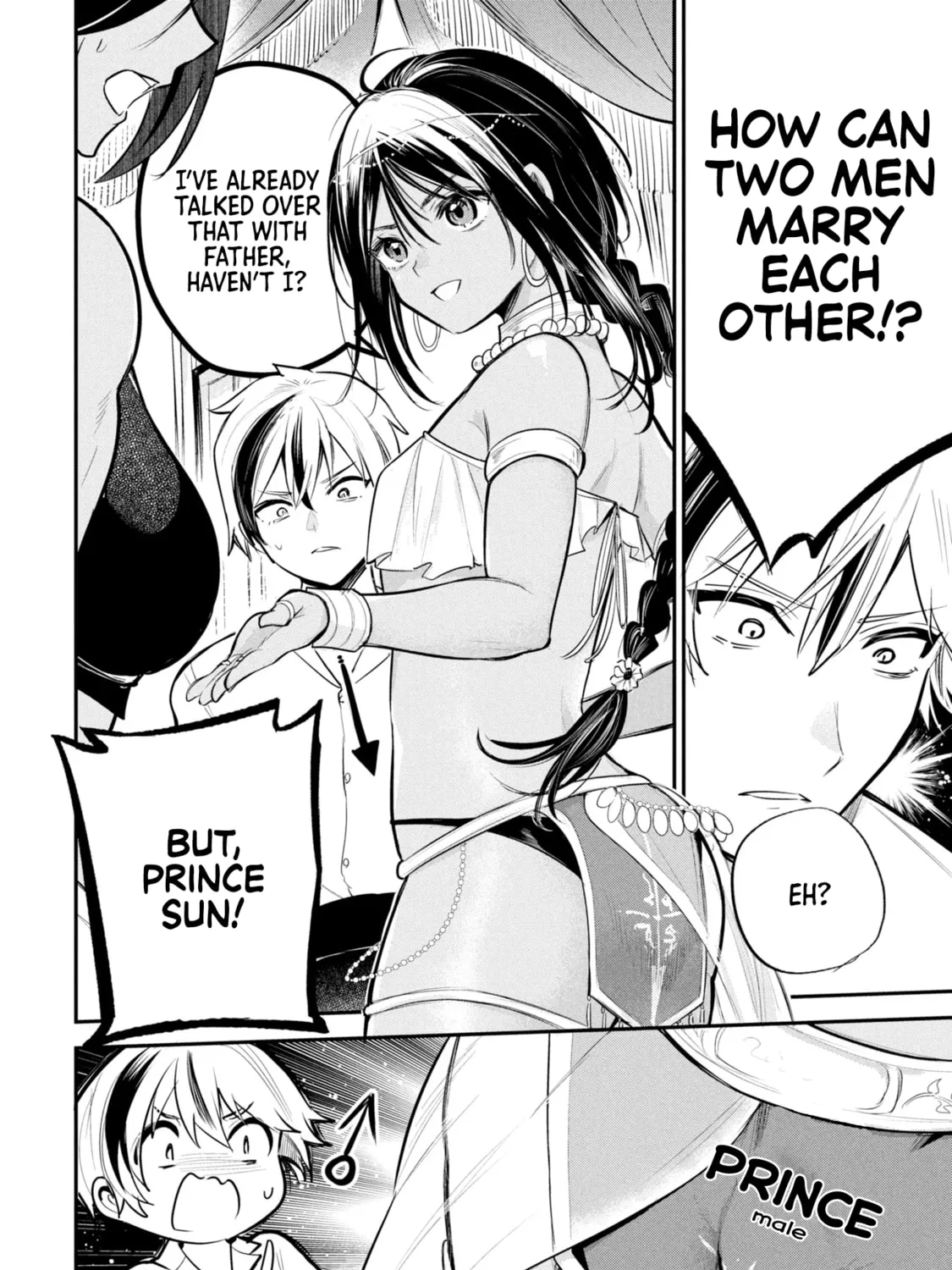 Prince Sun wanna be a wife Chapter 1 page 27 - 