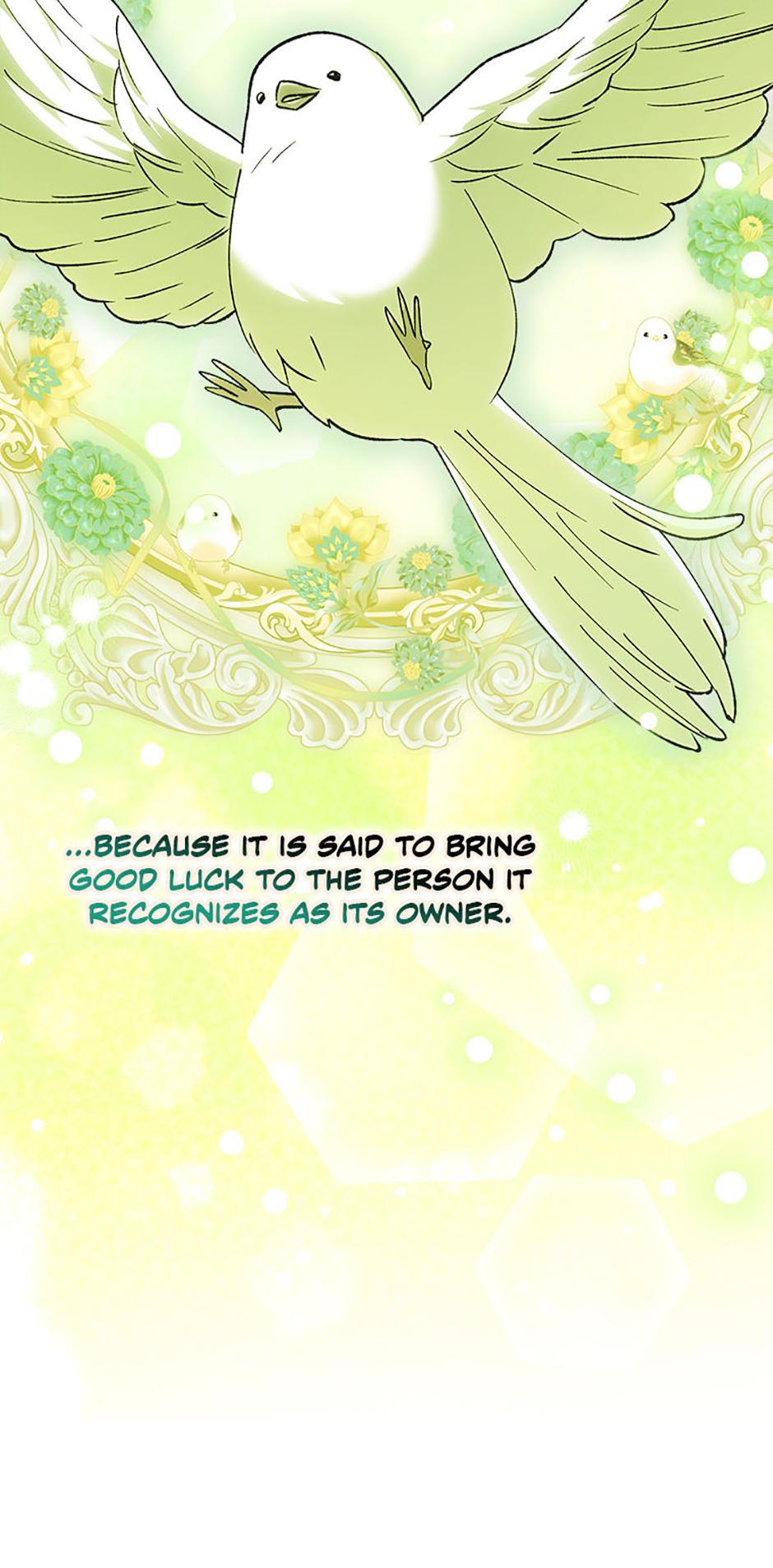 Princess Baekho Is Not Dangerous Chapter 25 page 48 - 