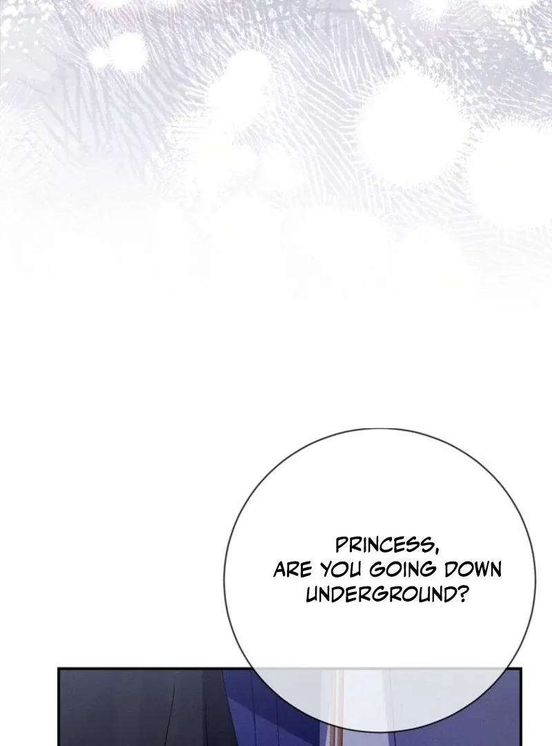 Princess Eveness Saves Herself Chapter 28 page 25 - 