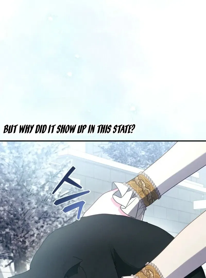 Princess Eveness Saves Herself Chapter 41 page 74 - 