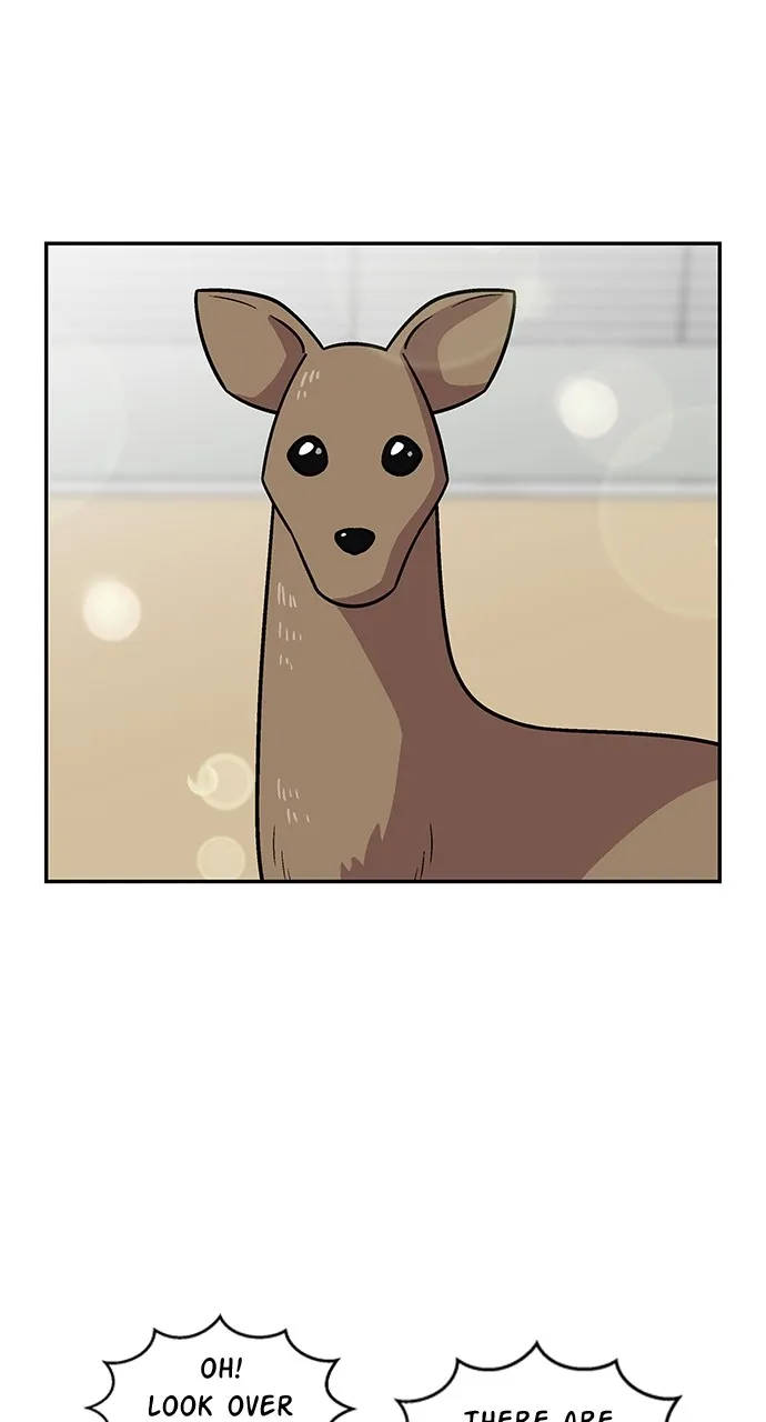 Princess Hurricane Chapter 8 page 4 - 