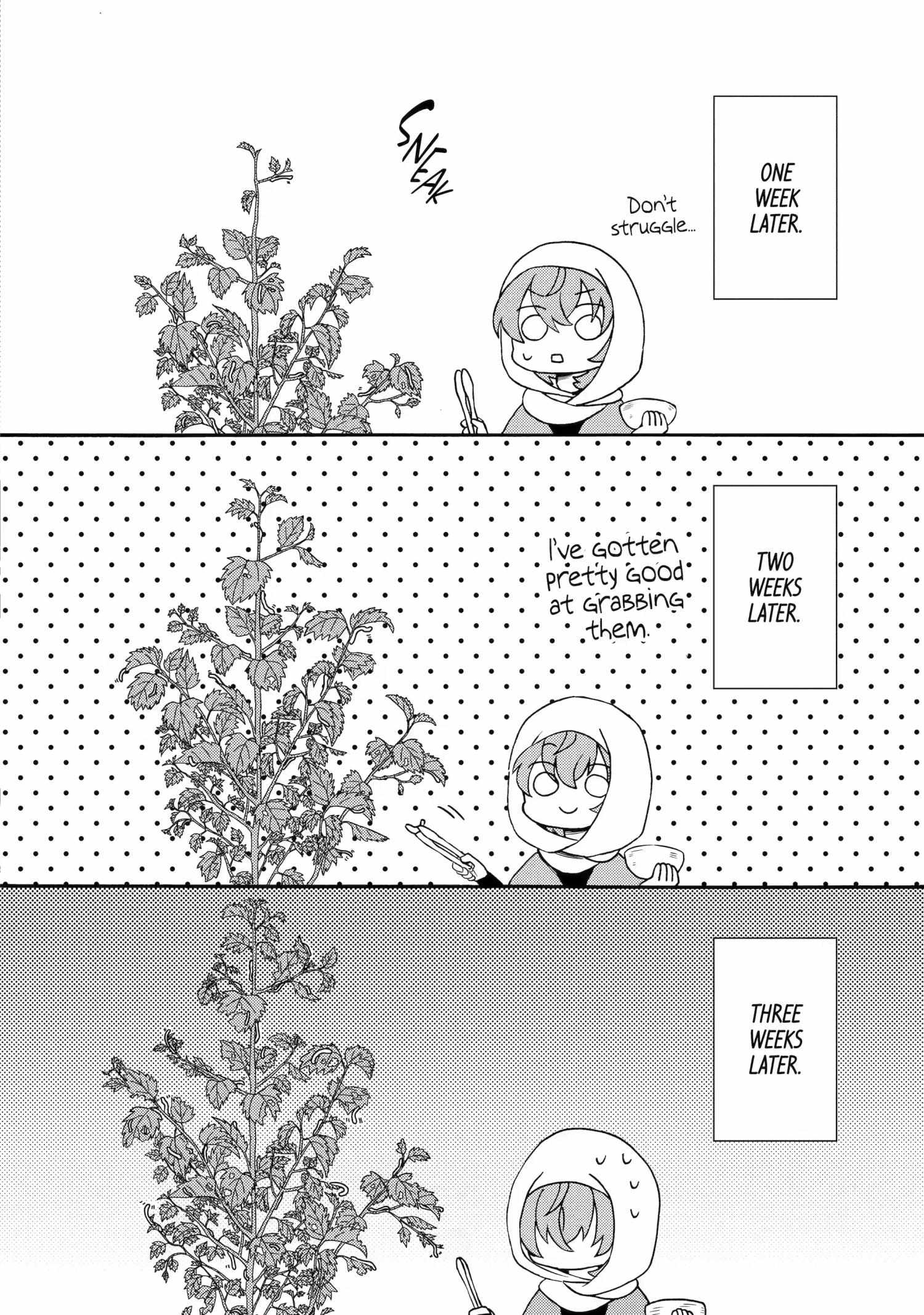 Princess of Desert Rain: Once a Mage, Now a Farmer