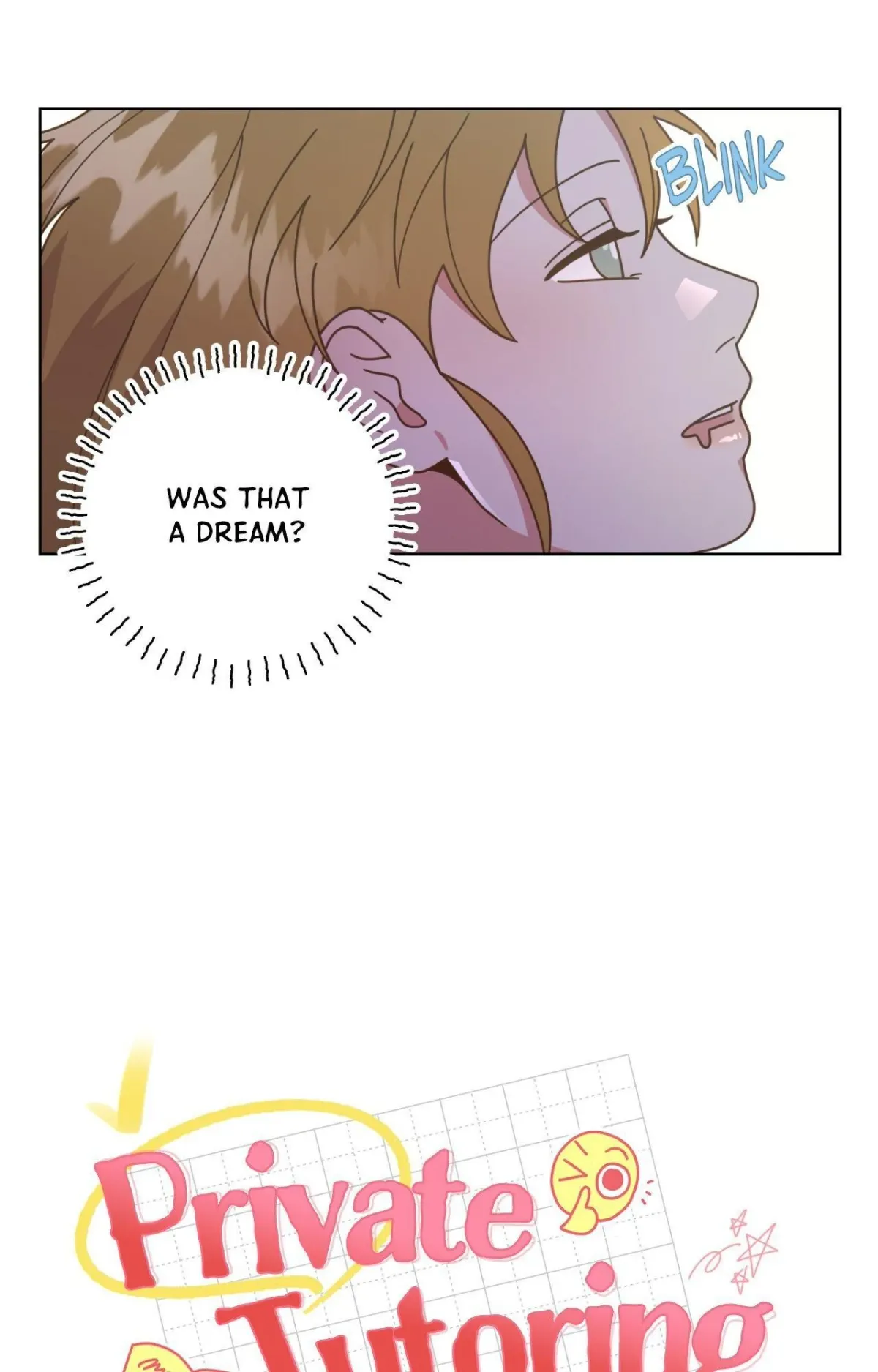 Private Tutoring Chapter 14 page 17 - 